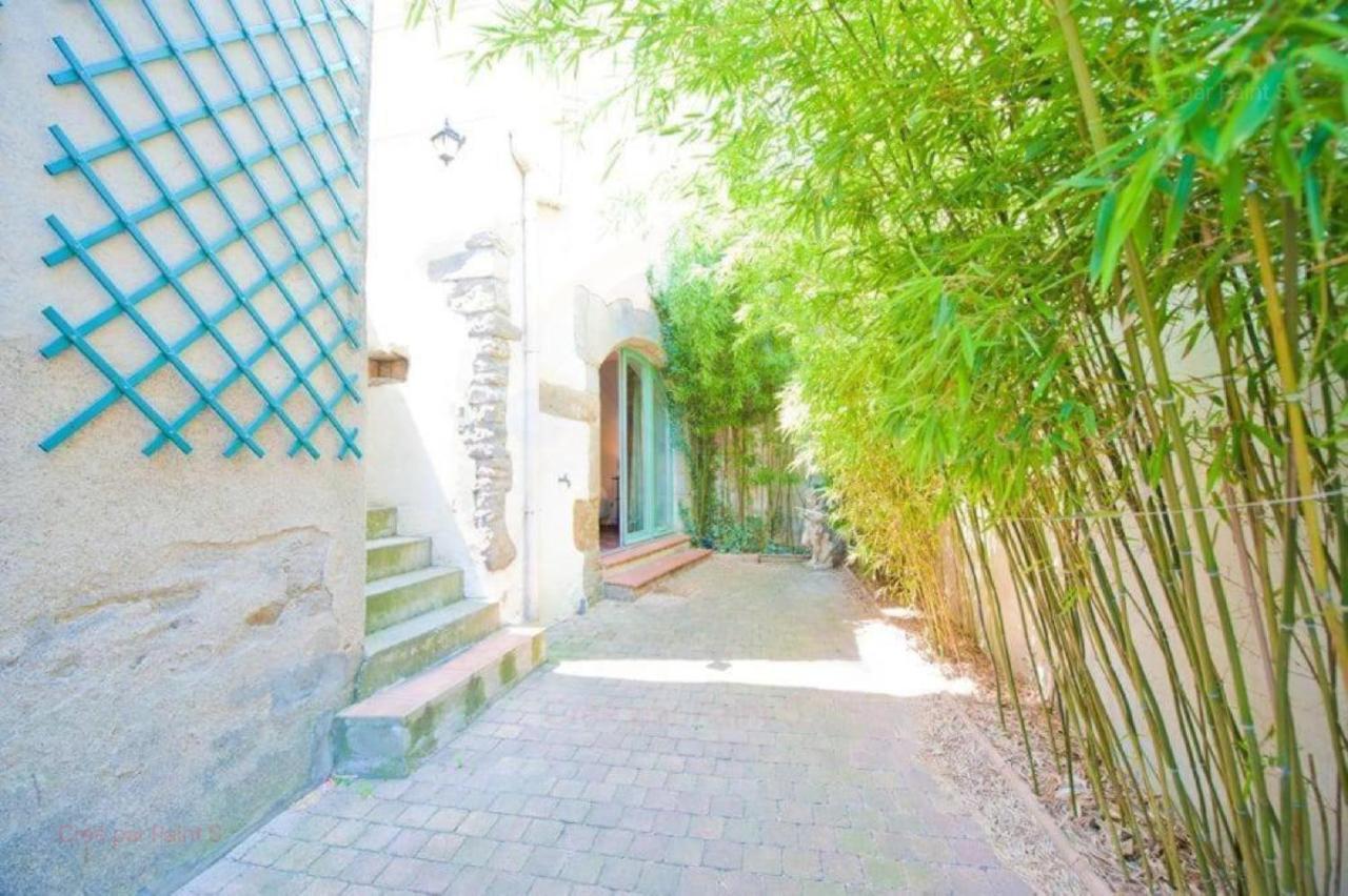 Les Chemins De La Cite Chambre Ou Appartement Carcassonne Luaran gambar